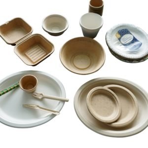 Lunch plates